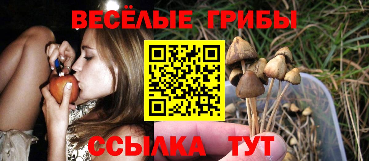 МЕФ   Грозный  Кетамин  АМФЕТАМИН   Вход с VPN  Магазины продажи наркотиков  Cocaine  МАРИХУАНА  APVP СК кристаллы  МДМА 