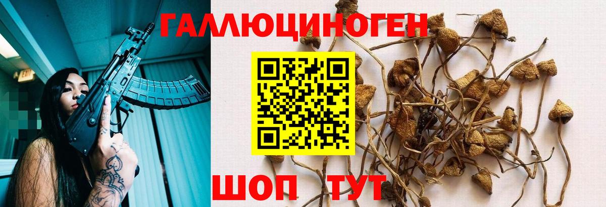 Псилоцибиновые грибы мухоморы Грозный